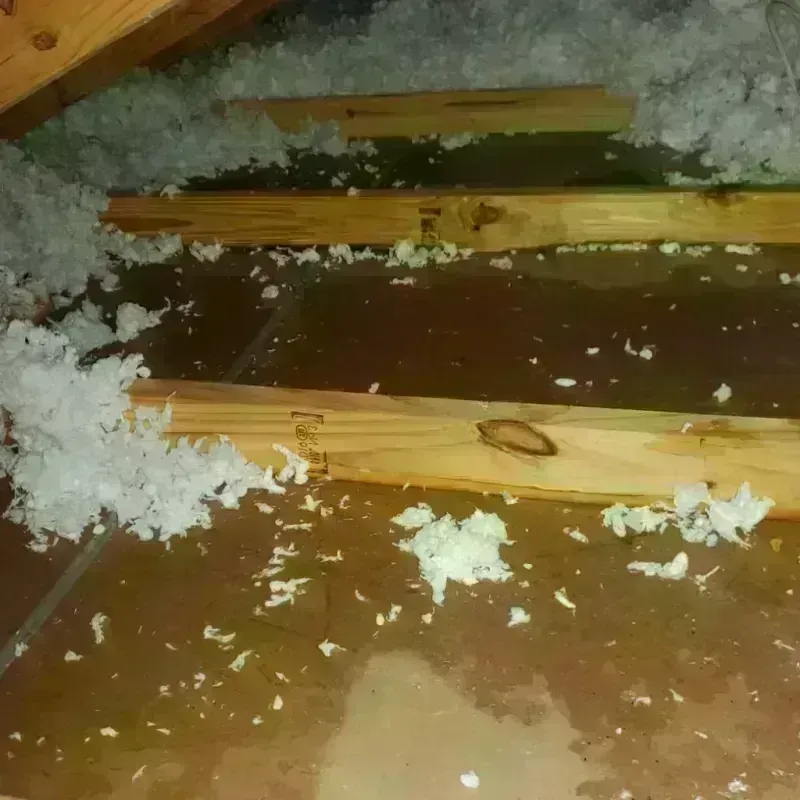 Attic Water Damage in Monticello, KY